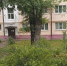 В Липецке повалило 16 деревьев - Gorod48.ru