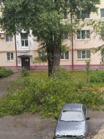 В Липецке повалило 16 деревьев
