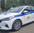 Липецкие автоинспекторы выявили больше пяти с половиной тысяч нарушений ПДД на дорогах региона - ГИБДД Липецкой области