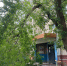 Ветка дерева переломилась над головами у жителей Сокола - Gorod48.ru