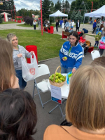На пути к успешному трудоустройству 