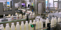 Статистика: в Липецкой области дорожали молочные продукты, дешевели овощи - Gorod48.ru