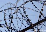 37-летний липчанин получил 22 года колонии строгого режима за изнасилование 11-летней девочки