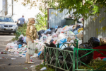 Жильцам более 200 квартир в липецком Ельце пересчитали плату за вывоз мусора