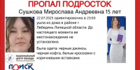В Лебедяни ищут ушедшую из дома в неизвестном направлении девочку-подростка - МОЁ! Липецк