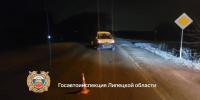 В Липецкой области осудят водителя Пежо за смертельное ДТП с пенсионеркой - Липецкая ГТРК