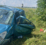 В Липецкой области при опрокидывании автомобиля «Судзуки» пострадала пенсионерка - Комсомольская Правда