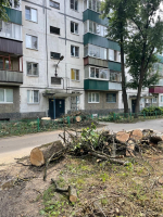 Общественный помощник ЛДПР Александр Горбунов добился опиловки аварийных деревьев