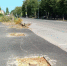 Куда воткнуть деревья на улице Интернациональной? - Gorod48.ru