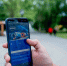 Липчане активно пользуются бесплатным Wi-Fi от НЛМК в городских парках - Gorod48.ru