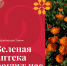 Аптека под ногами: как сэкономить на лекарствах с помощью природы - Министерство культуры