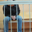 Житель Липецка ударил знакомого ножом и трижды выстрелил в него из травматики - Комсомольская Правда