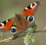 Тепло и солнечно будет в Липецке в это воскресенье - LipetskMedia.Ru