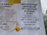 Липчанин обклеил город объявлениями о поиске спутницы для интимных отношений