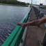 Опасный мост: жители липецких сел боятся переходить через шатающуюся переправу - МОЁ! Липецк