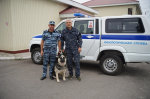 JPG Файл