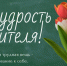 Ко Дню учителя министерство образования Липецкой области запускает акцию «Мудрость учителя!» - Министерство образования