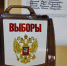 В первый день выборов проголосовал каждый пятый избиратель области - Gorod48.ru
