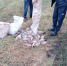 В Усманском районе задержаны браконьеры с 209 кг рыбы. - Управление по охране, использованию объектов животного мира и водных биологических ресурсов