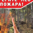 Продление ограничения на посещение лесов - Министерство лесного хозяйства