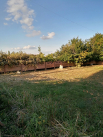 IMG_20250914_171149.jpg
