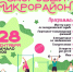 Липчан приглашают на спортивный фестиваль «Здоровый микрорайон» - Город Липецк