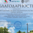 Благодарственным письмом отметили Библиотеки Липецка - Город Липецк