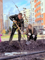 В микрорайоне «Победа» появились новые деревья