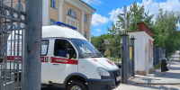 В ДТП с грузовиком в Липецкой области погибла лошадь - Комсомольская Правда