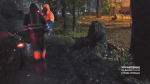 IMG_0122.jpeg
