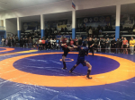 Областной турнир по спортивной борьбе в дисциплине панкратион