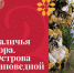 Приглашаем на открытие выставки «Галичья гора. Острова заповедной природы» - Министерство культуры
