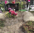 331d4a74-056e-4699-bbe7-0b50227168a0.jpeg+2025-10-27-12.49.34.jpg - Gorod48.ru
