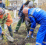 Жители двора на Неделина высадили деревья и получили призы - Gorod48.ru