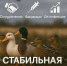 Профилактика высокопатогенного гриппа птиц даёт результаты - Город Липецк