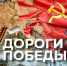 Ломали руки и выбивали зубы: елецкая разведчица чудом спаслась от фашистов - Липецкая ГТРК