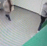 Липчанка воспользовалась сбоем в работе банкомата и внесла чужие деньги на свой счет - Комсомольская Правда