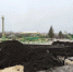 В «Петропарке» разбивают газоны, сажают деревья и строят забор - Gorod48.ru