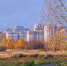 В Липецкую область наконец придут ночные заморозки - Gorod48.ru