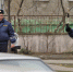 Два ДТП за одни сутки произошло близ липецкого села Двуречки - Комсомольская Правда