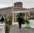 15 декабря в Липецке заработают ёлочные базары - Gorod48.ru