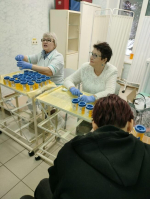 Формирование здорового образа жизни