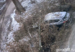 Сваленное ветром дерево упало на автомобиль в 19-м микрорайоне