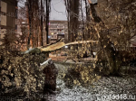 Три водозабора оказались обесточенными из-за сваленных на линии электропередачи ветром деревьев