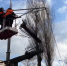 Деревья распилены, вода вернулась, электроснабжение практически восстановлено - Gorod48.ru