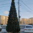 Поваленную ветром ёлку уже поставили на место - Gorod48.ru