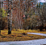 DSC0619712.jpg - Gorod48.ru
