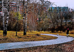 DSC0619712.jpg