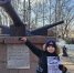 История Липецкого края — в фокусе молодых! - Департамент образования