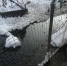 41e02437-98f4-4c82-ba54-c05da4b6d95c.jpg - Gorod48.ru